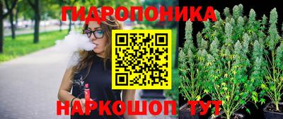 a pvp Свободный