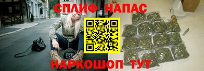 a pvp Свободный