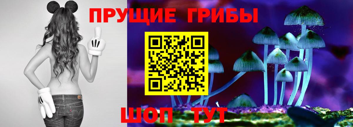 Галлюциногенные грибы Psilocybine cubensis Нижневартовск